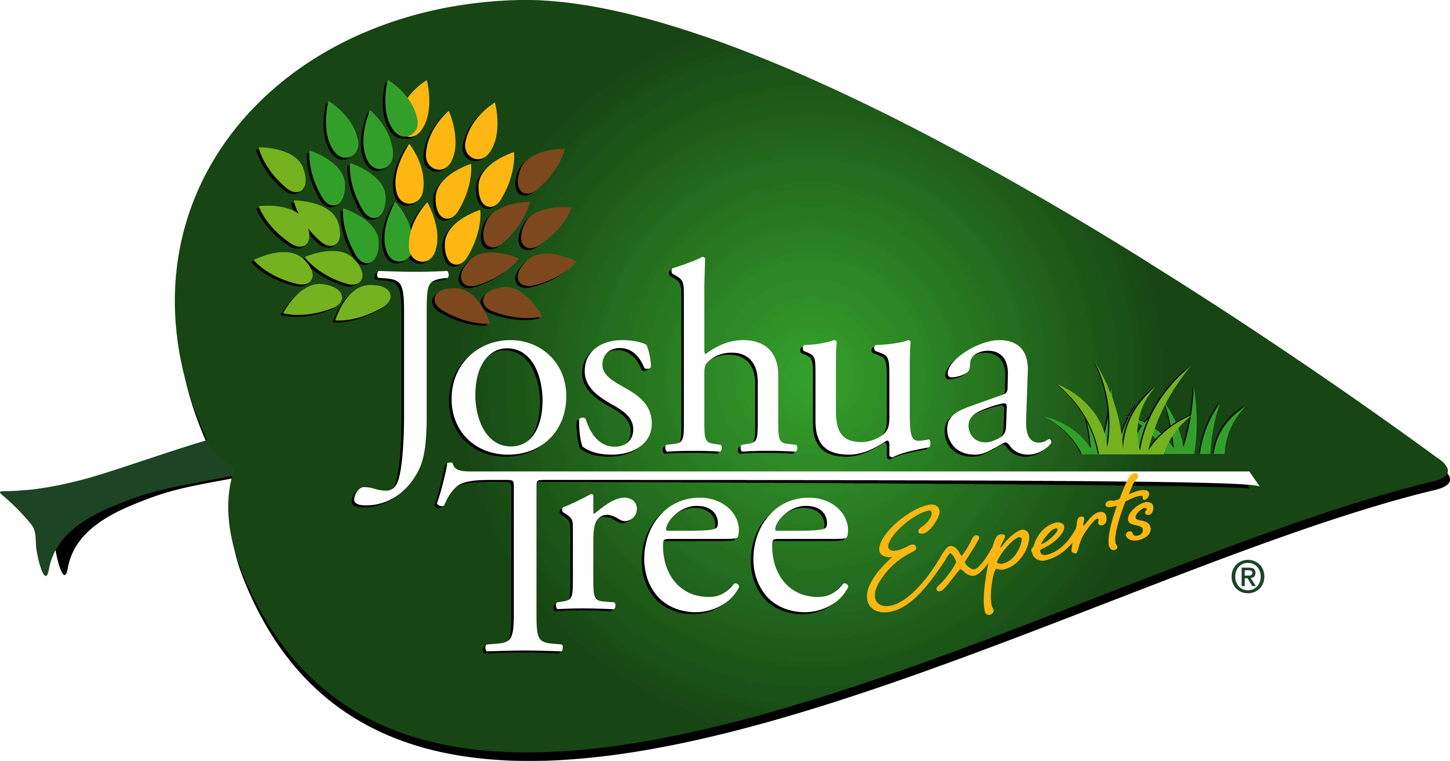 main_logo