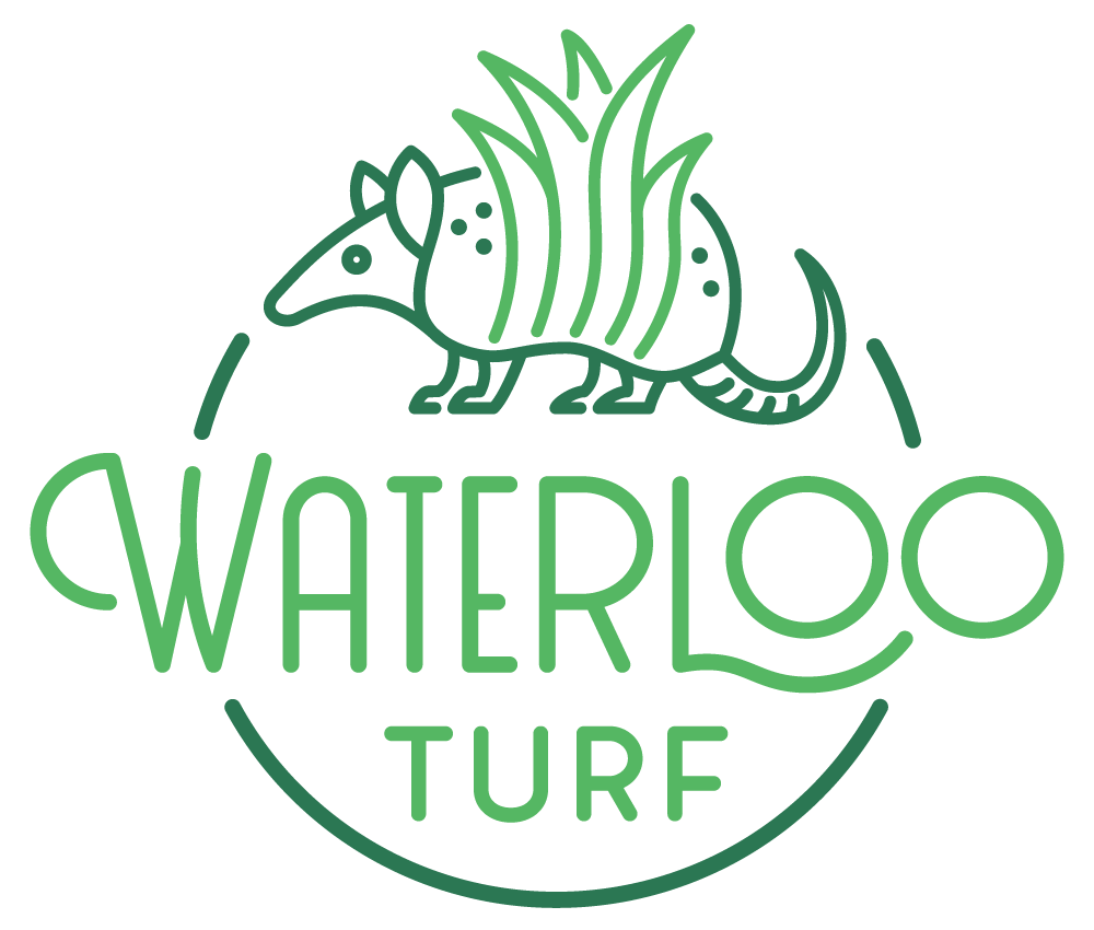 main_logo